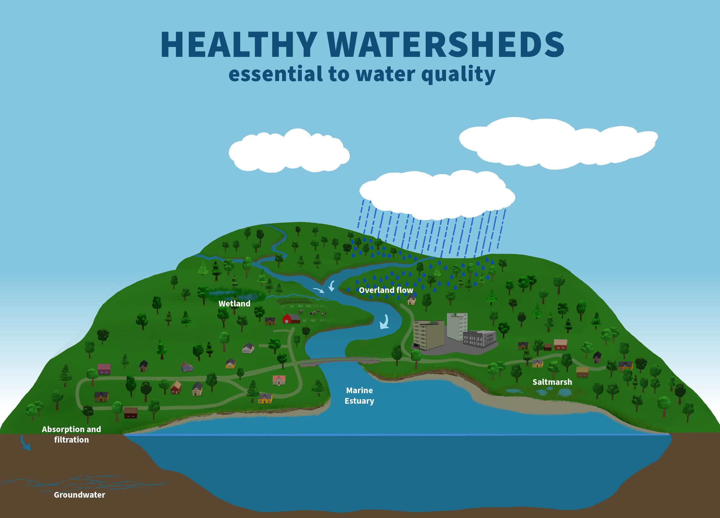 Water Quality EcoVision2025